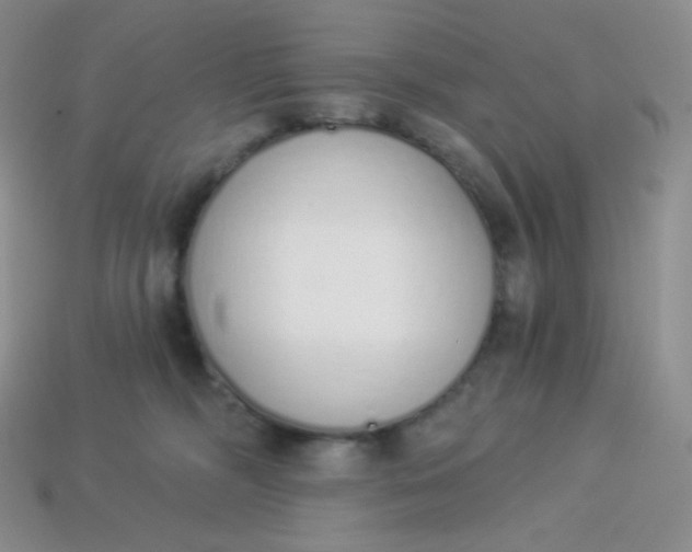 X0000114030326200910161825