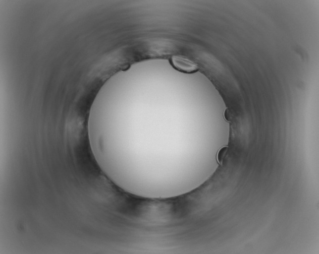 X0000114030327200910161825