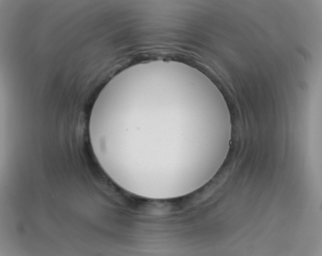 X0000114030328200910161825