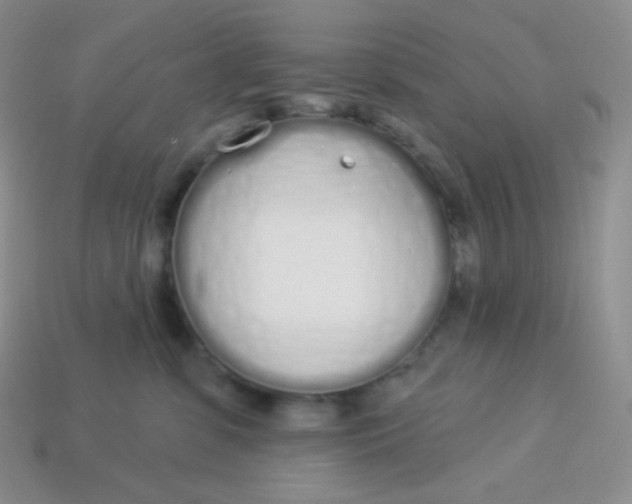 X0000114030331200910161825