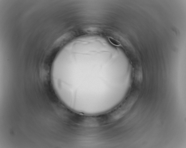 X0000114030332200910161825