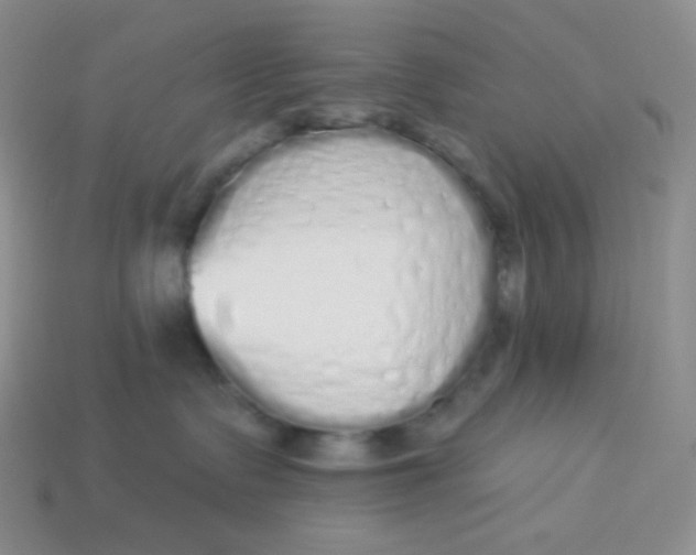 X0000114030335200910161825