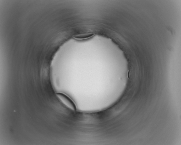 X0000114030336200910161825