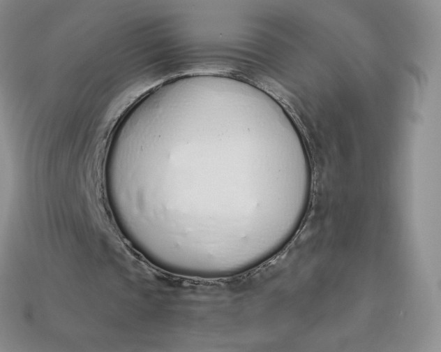 X0000114030337200910161824