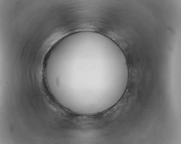 X0000114030338200910161824