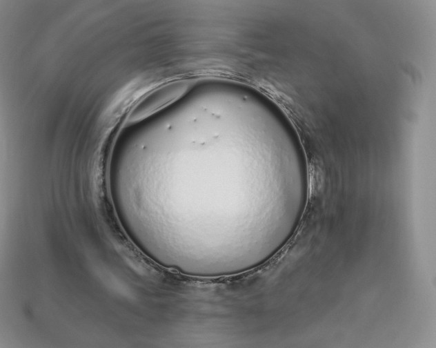 X0000114030339200910161824