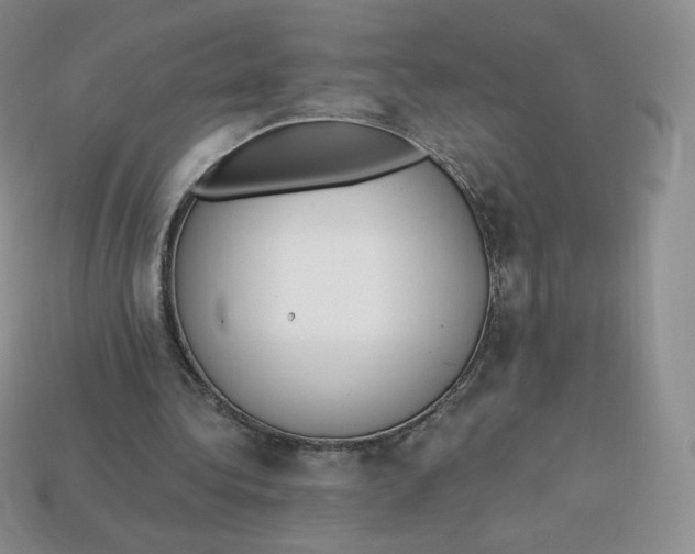 X0000114030340200910161825