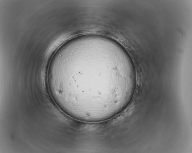 X0000114030341200910161825