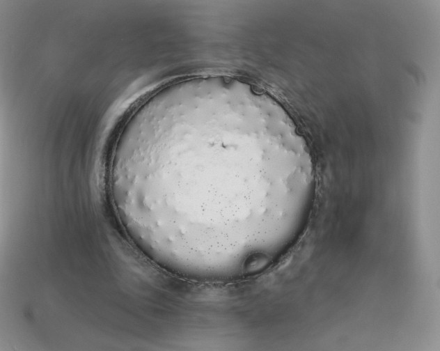 X0000114030343200910161825