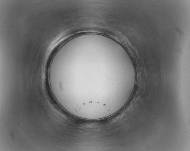 X0000114030344200910161825