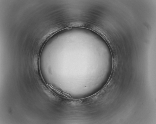 X0000114030345200910161825