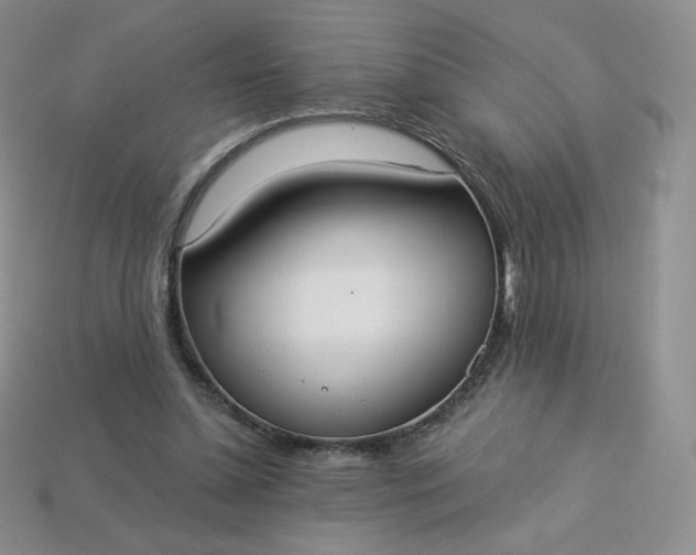 X0000114030348200910161825