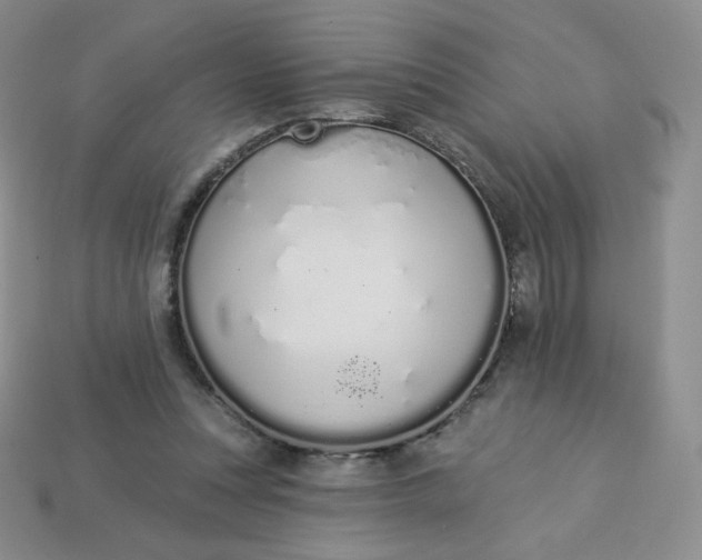 X0000114030351200910161825