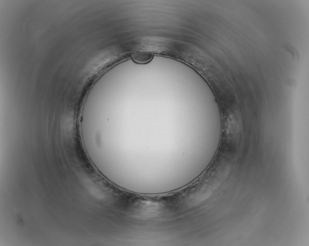 X0000114030352200910161825