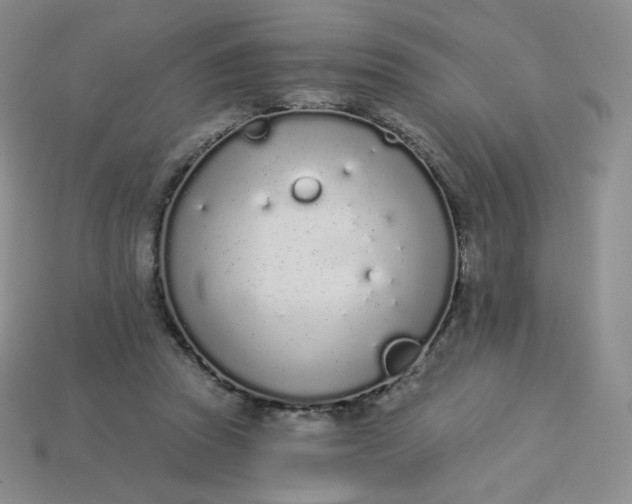 X0000114030353200910161825