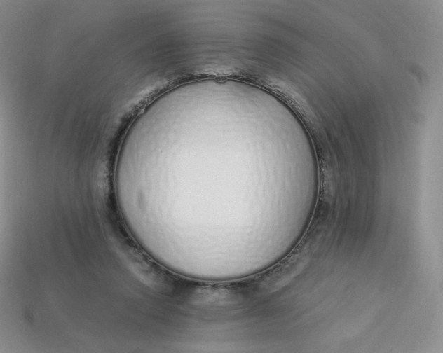 X0000114030354200910161825