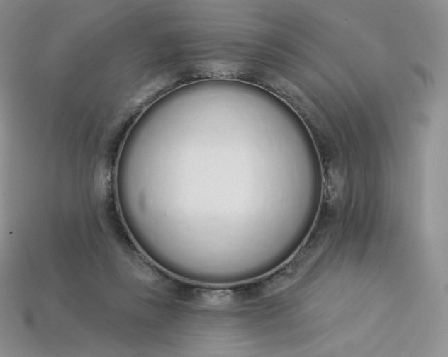 X0000114030355200910161825