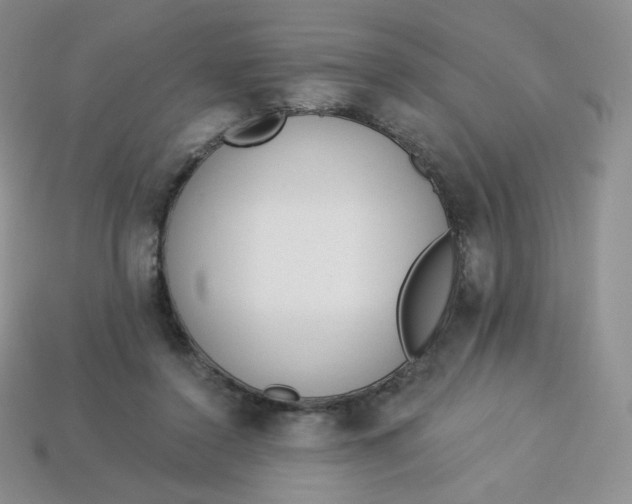 X0000114030356200910161825