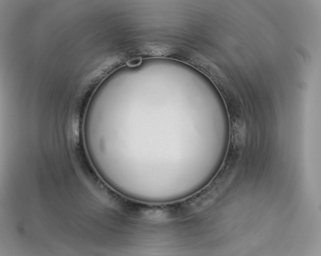 X0000114030358200910161825