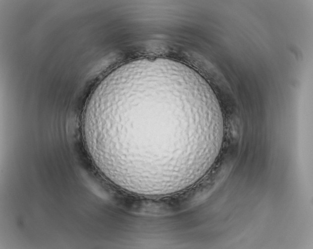 X0000114030360200910161825