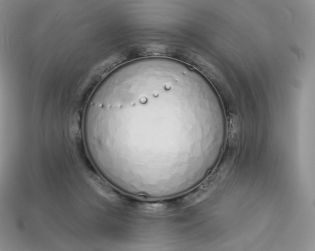 X0000114030361200910161825