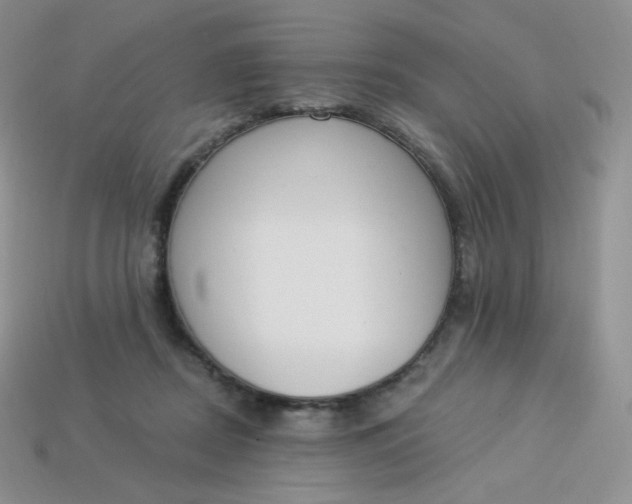 X0000114030362200910161825