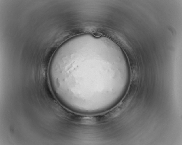 X0000114030363200910161825