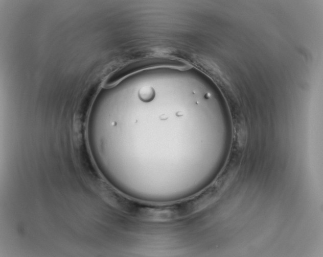 X0000114030366200910161825