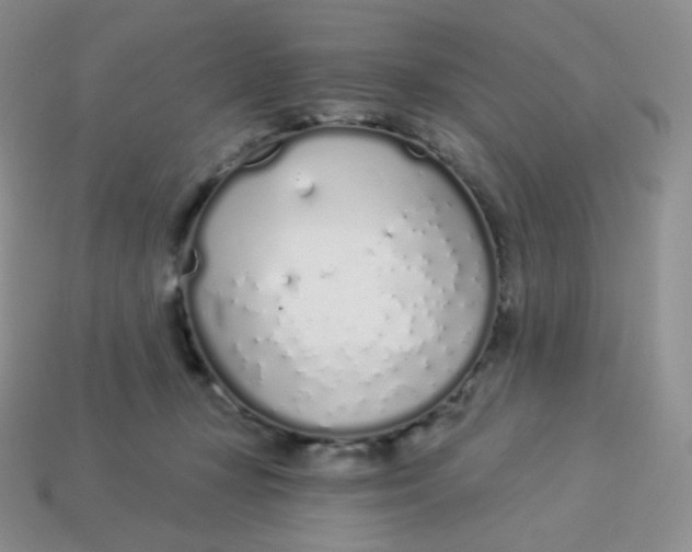 X0000114030367200910161825