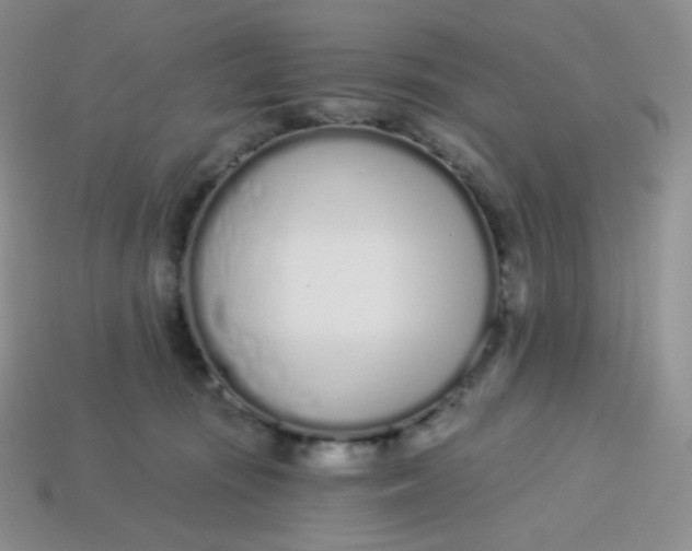 X0000114030371200910161825