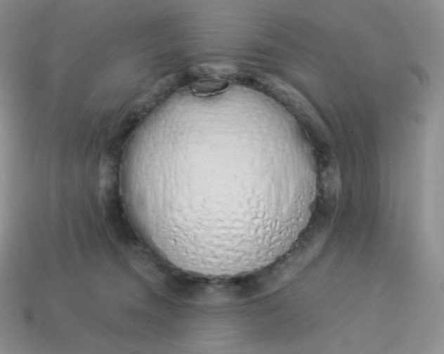 X0000114030372200910161825