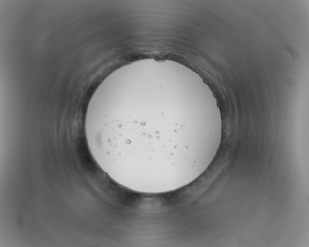 X0000114030376200910161825