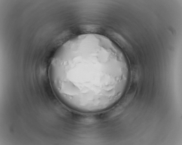 X0000114030377200910161825