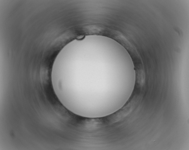 X0000114030378200910161825