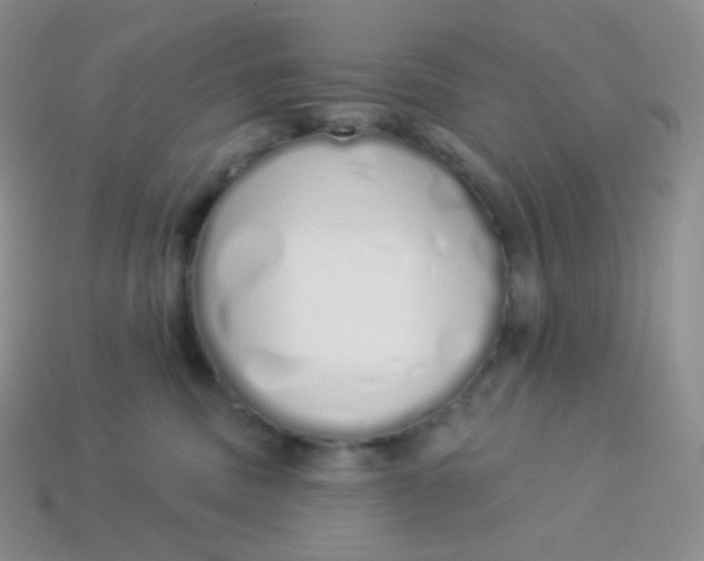 X0000114030379200910161825