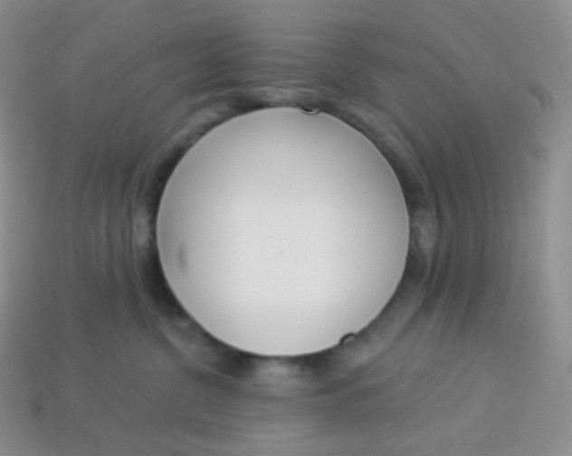 X0000114030380200910161825