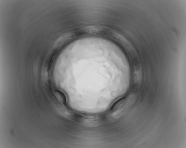 X0000114030381200910161825