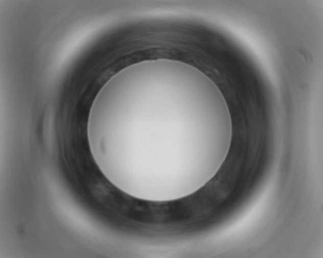 X0000114030382200910161825