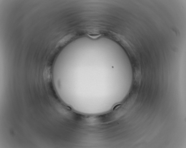 X0000114030383200910161825