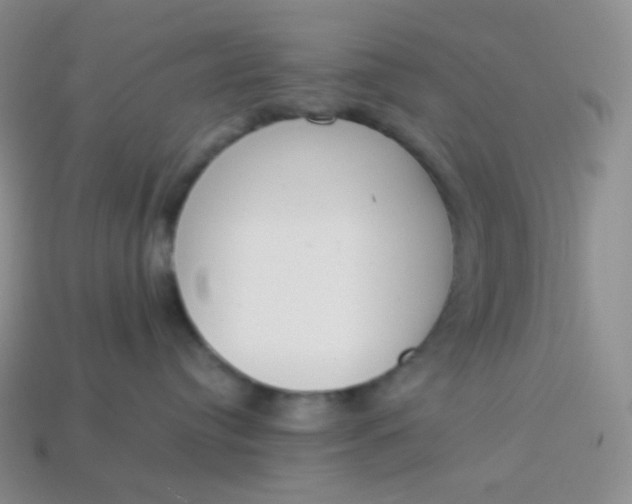 X0000114030384200910161825