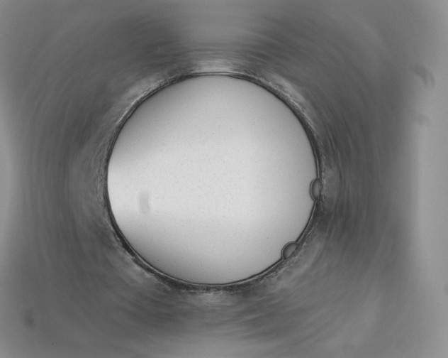 X0000114030385200910161824