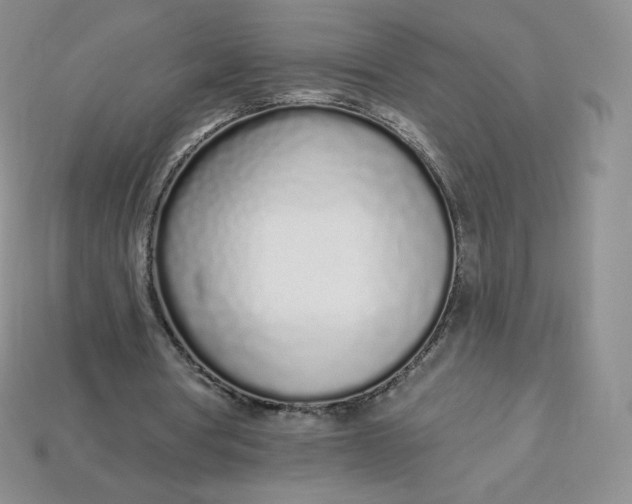 X0000114030386200910161824