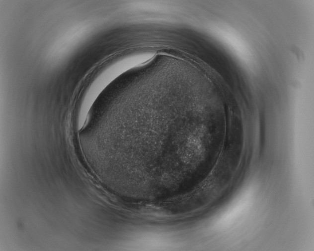 X0000114030387200910161824