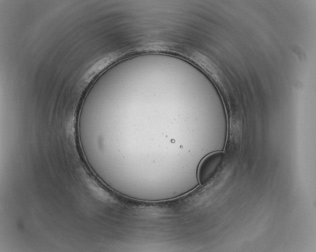 X0000114030389200910161824