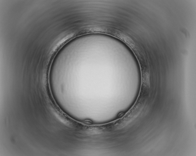 X0000114030390200910161824