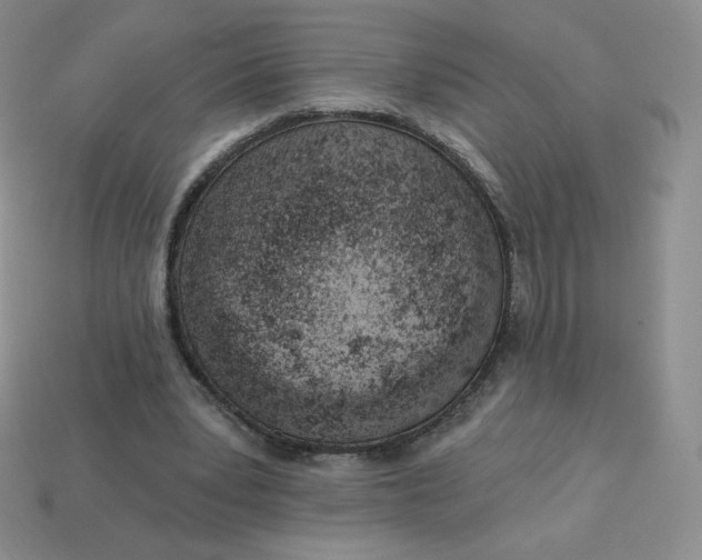 X0000114030391200910161824