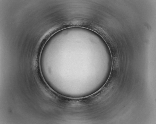 X0000114030392200910161824