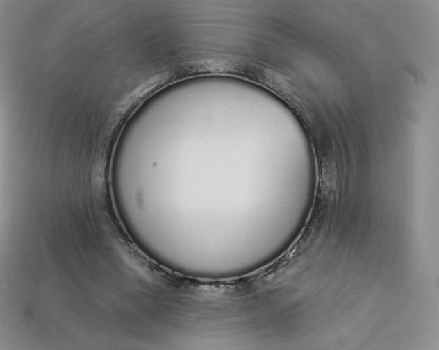 X0000114030394200910161824