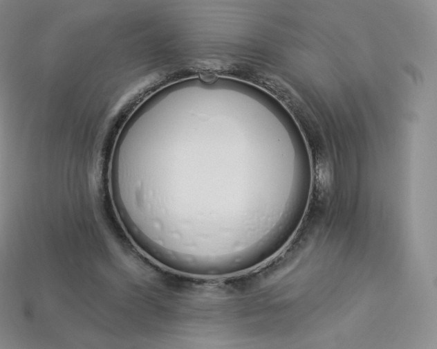 X0000114030396200910161824