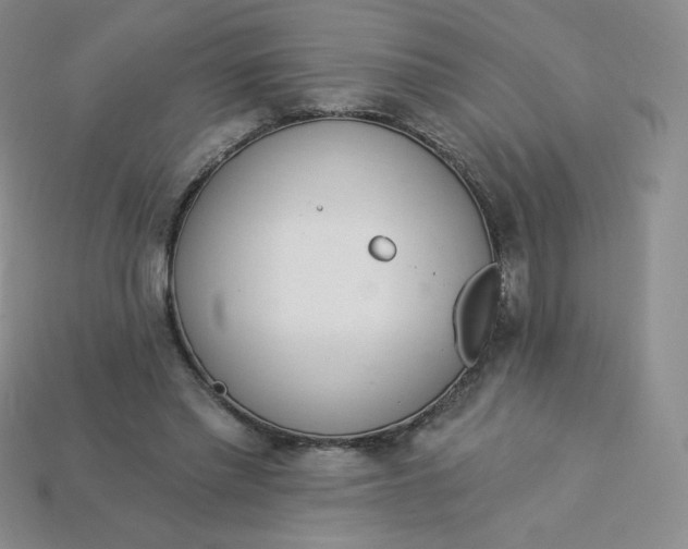 X0000114030397200910161824